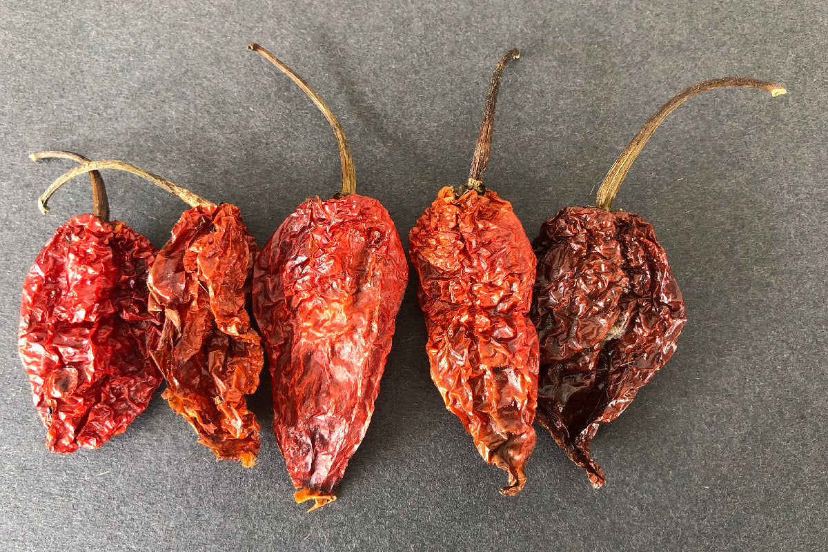 Naga Bhut Jolokia - Ghost Pepper