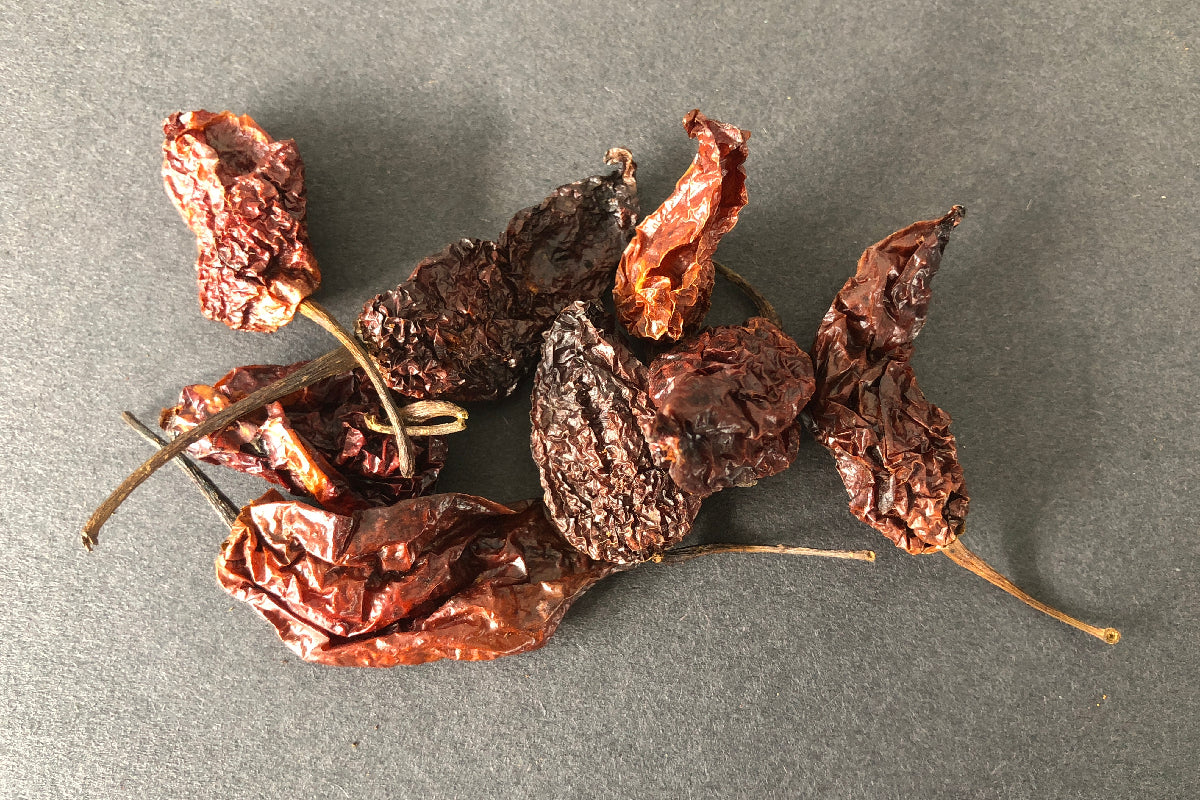 Trinidad Moruga Scorpion